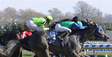 aqueduct racetrack live.